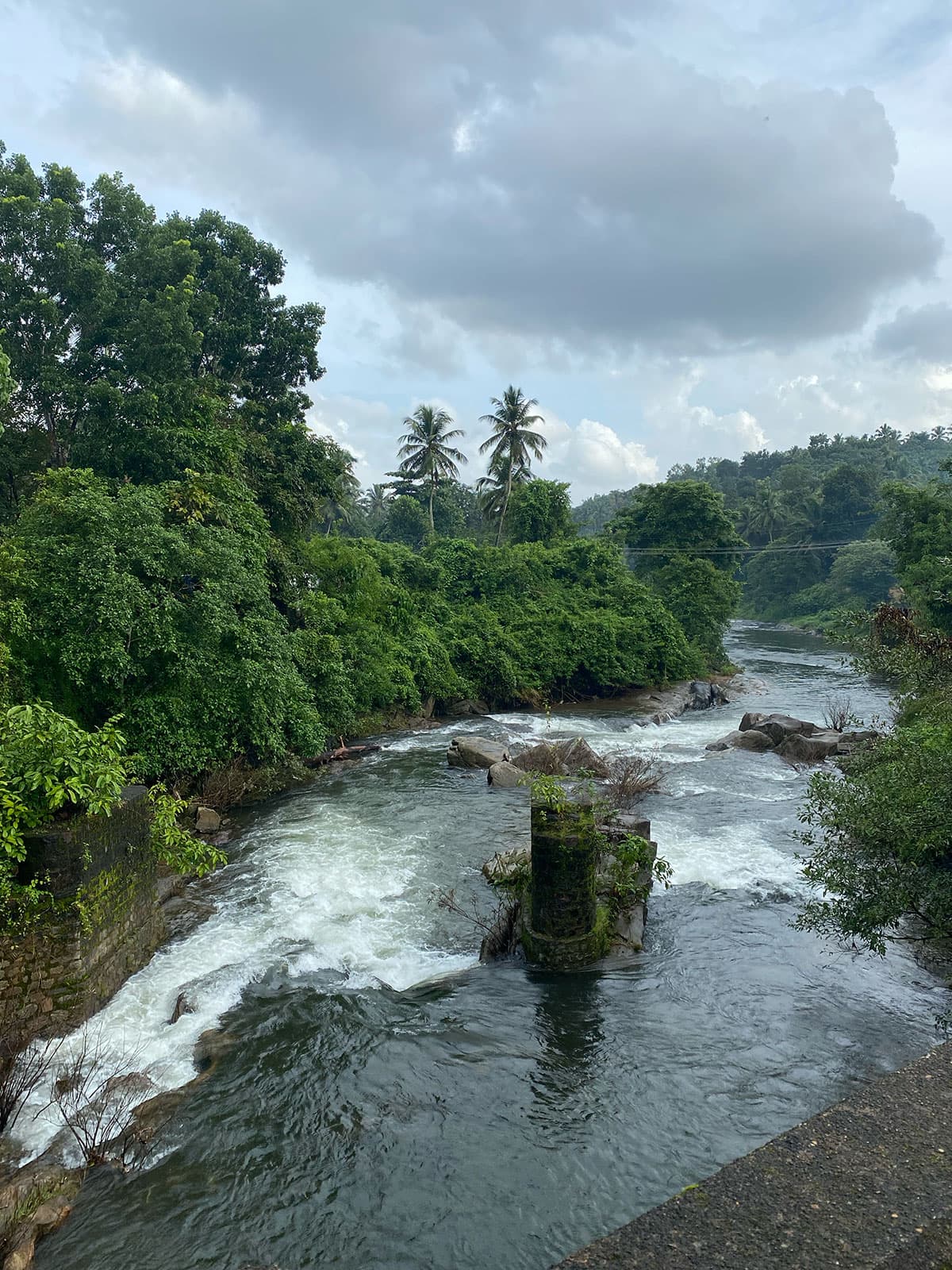 View of river from the bridge